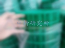 荷蘭網(wǎng)檢測,荷蘭網(wǎng)檢測報告