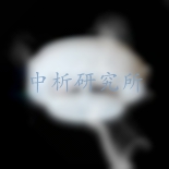 煙霧報(bào)警器檢測(cè)