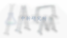 便攜式金屬梯檢測(cè)