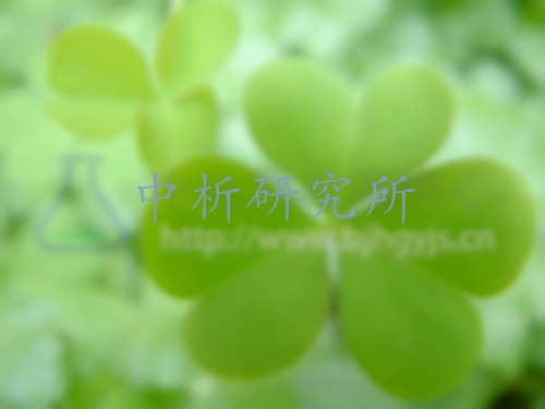 植物葉片