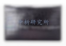 鱷魚皮檢測