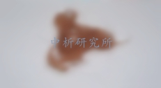 駝絨檢測