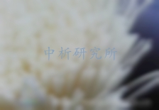 中空纖維膜檢測