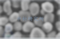 球形石墨檢測(cè)