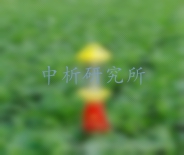 誘蟲燈檢測