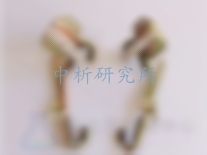 腳扣檢測(cè)